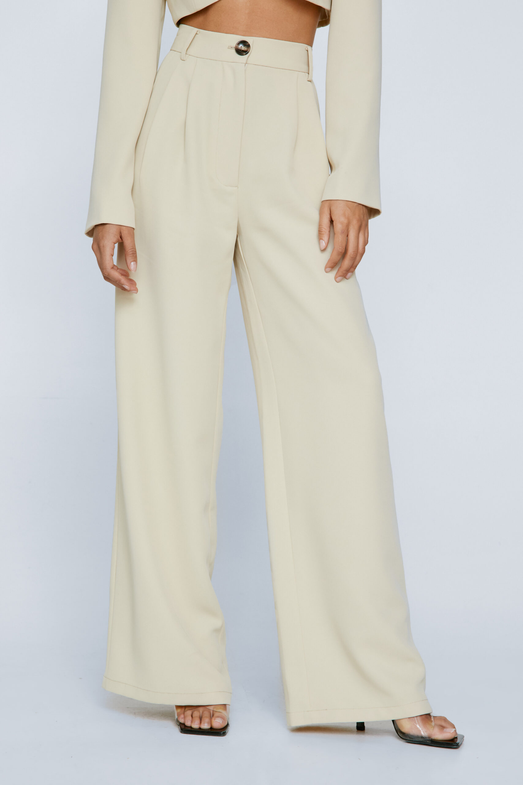 Pleated Wide Leg Tailored Pants